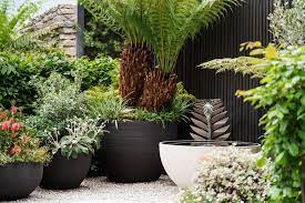 Growing Plants In Containers Rhs