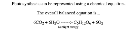Which Of The Following Equations