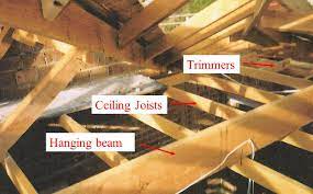 ceiling frame structure and purpose