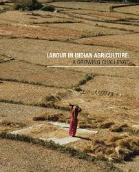 Labour in Indian Agriculture: A Growing ...