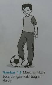 Cara menahan bola pada permainan sepak bola dilakukan dengan cara menghentikan bola dengan bagian dalam kaki, dengan telapak 2. Bagaimana Cara Menahan Bola Menggunakan Kaki Bagian Dalam Cara Golden