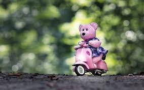 pink teddy bear riding a scooter cute