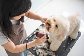 Aussie mobile pet grooming: BusinessHAB.com