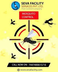 Professional strength products save up to 70% Pin On Pest Control Roaches