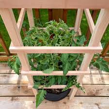 diy wooden tomato cage for pots the