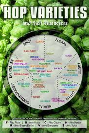 Hop Types And Their Characters Mmmmm Love Citra And