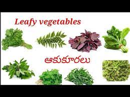 leafy vegetables names in telugu