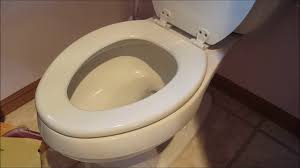 remove replace a toilet seat