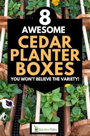 8 Awesome Cedar Planter Boxes You Won