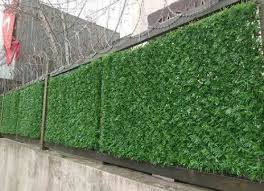 Outdoor Wall Artificial Grass