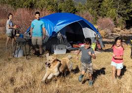 Image result for camping