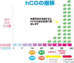 o ライン 脱毛 お なら