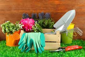 Gardening Tools Must Have Tools For