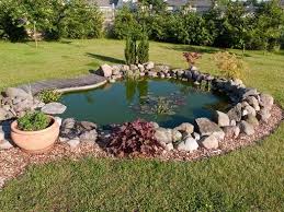 Year Round Pond Care Garden Tips