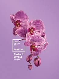 About Us Pantone Reveals Color Of The Year For 2014