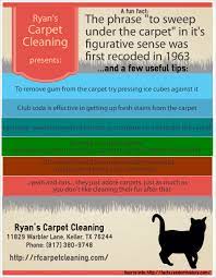 a few awesome carpet cleaning service