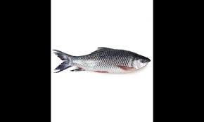 rohu fish 1kg