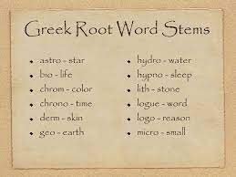 ppt greek and latin stems powerpoint