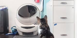 Image result for Whisker City Self-Cleaning Litter Box