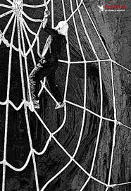 Мрежа от тънки нишки, която паякът плете превод на думата паяжина на английски език. V Tazi Foto Sesiya Se Katerih Bez Vzhe Po Naj Golyamata Payazhina V Sveta Napravena Ot Chovek Interesno Mi Stana Creative Photography Photography Brand Ambassador