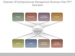 Example Of Entrepreneurial Management Business Plan Ppt