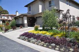 Landscaping Guidelines City Of Covina