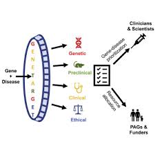 gene target a framework for evaluating