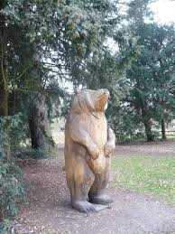 A Bear In Kew Gardens Geograph Org Uk
