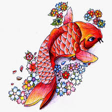 anese koi fish wallpapers hd es