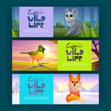 wildlife posters with cute fox bird