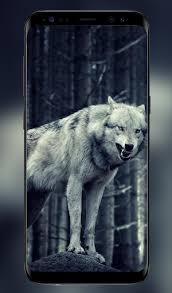 Desktop wolf wallpaper hd 1920×1080. Download Wolf Wallpaper 4k Full Hd Wallpapers Free For Android Wolf Wallpaper 4k Full Hd Wallpapers Apk Download Steprimo Com