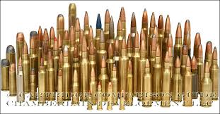 48 Judicious Bullet Caliber Comparison