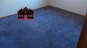 premium carpet cleaning gray ln