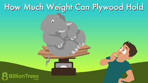 how much weight can plywood hold