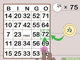 How To Play Bingo 13 Steps With Pictures Wikihow