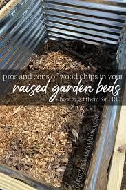 How To Fill Raised Garden Beds Without