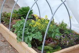 Try These Raised Garden Beds For Easy