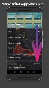 ROYAL WhatsApp Transparent Lite v.1.0 With Group Members Increase Limit  Edition Basd On 2.17.73