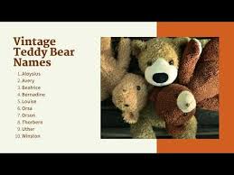 plus teddy bear name generator