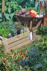 Grow Vegetables Vegie Garden Design