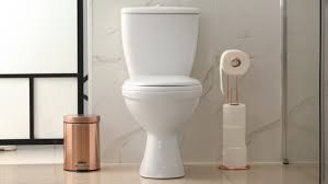 Toilet Seat From Shifting Sideways