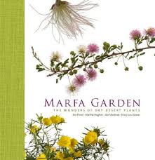 Marfa Garden The Wonders Of Dry Desert
