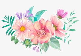 Generally, with flowers, overcast days work the best. This Backgrounds Is Cute Flower Cartoon Transparent Watercolor Painting Transparent Png 1024x690 Free Download On Nicepng