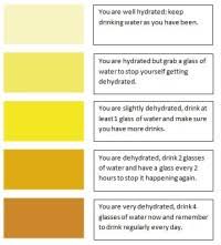 Pee Chart Nhs 8 Sample Urine Color Chart Templates To