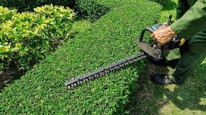 how to sharpen a hedge trimmer