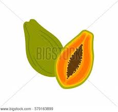How to draw a papaya step by step. Ripe Papaya Cross Vector Photo Free Trial Bigstock