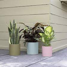 plant pots set of 3 turin remember