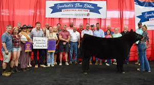 blue ribbon livestock auction