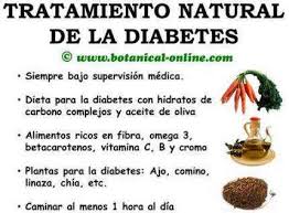 Plantas que curan y sanan la diabetes / como curar la. Remedios Para La Diabetes Botanical Online