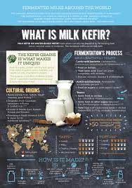 what is kefir yogurt in nutrition